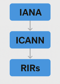 Internet Assigned Numbers Authority (IANA) 