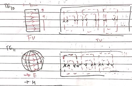 dominant-and-determinant-modes-3
